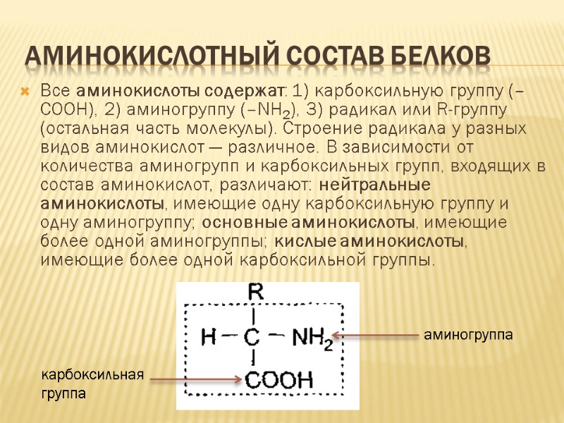 Аминокислотный состав белков Все аминокислоты содержат: 1) карбоксильную группу (–СООН), 2) аминогруппу (–NH2), 3)